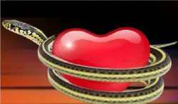 ماذا تعرف عن ذنوب القلوب؟