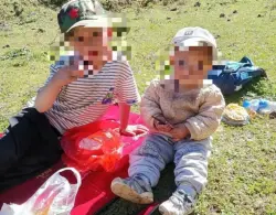 لسعات دبابير قاتلة تودي بحياة طفلين في قرية ريفية