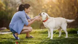 دراسة: التكنولوجيا المستقبلية ستجعل التواصل اللغوي مع الحيوانات أمرا ممكنا