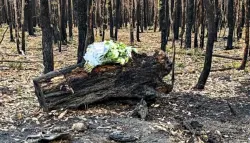 مأساة.. العثور على أم وطفلها وشقيقتها متوفين في الغابة بعد محاولة العيش بعيداً عن المجتمع