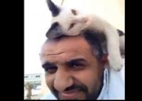 بالفيديو.. شاهد كيف شكرت قطة شابا ساعدها في مرضها في مشهد موثر