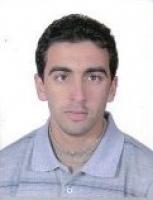 الوطن ليس غابة