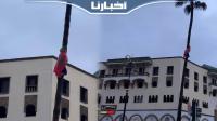 سبايدرمان مغربي يتسلق نخلة احتفالا بتأهل الاسود