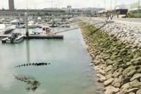 الصورة  تعبيرية
