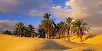أزيد من 33 ألف سائح توافدوا على زاكورة خلال سنة 2014