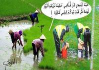 بالصور : هكذا سخرت مواقع التواصل الاجتماعي من شوهة "مول الكراطة و البونج" 
