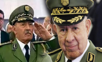 موقع جزائري: شنقريحة يأمر بوضع الجنرال بن علي في الإقامة الجبرية و"الكل يشك في الكل" بعد الصفعة المخابراتية المغربية