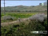 تلوث نهر سبو 