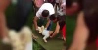 بالفيديو.. أم تلقى بابنها من الطابق السابع بعد شجار مع زوجها