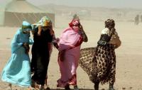 حمادة البيهي: غالبية سكان تندوف من الطوارق ومواطني هذه الدول والصحراويون لاتتجاوز نسبتهم 20%