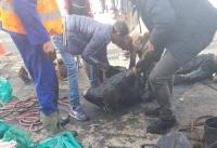 نجاة عمال نظافة من موت محقق بعدما علقوا داخل بالوعة بالجديدة
