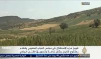 حزب الاستقلال ونبتة الحشيش على الجزيرة