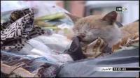 العاصمة الإقتصادية ومشكل النفايات
