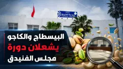 "البيسطاج" و"الكاجو" يشعلان دورة مجلس الفنيدق (فيديو)