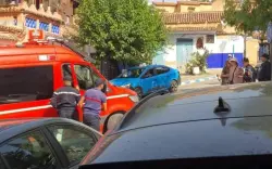 شفشاون: سائحة أجنبية تتعرض لعضة كلب ضال وسط مطالب بتدخل عاجل لوضع حد للظاهرة (صورة)