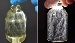 "البرق في زجاجة" يتحوّل إلى واقع بصري: يوتيوبر يُجسد المفهوم عبر فيزياء الإلكترونات