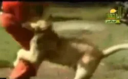 صادَق الأسد فشاهد ماذا حدث؟