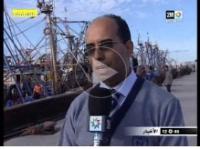 استئناف صيد الاخطبوط بعد الراحة البيولوجية