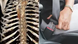 هذا ما حدث لسائقة تجاهلت حزام الأمان أثناء القيادة بسرعة