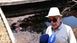 كارثة بيئية.. مرجان الزيتون والروائح الكريهة تحول حياة مهاجر إلى جحيم في تاونات