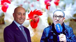 "لحم الفقراء" في خطر.. مربو الدواجن يستنجدون بالوزير الجديد وجيوب المغاربة تنتظر حلولاً عاجلة