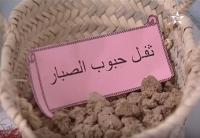 الرهان على الصبار لمحاربة الفقر بالرحامنة