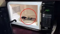 حيلة الميكروويف لحماية مفاتيح السيارات الذكية تثير جدلاً وتحذيرات