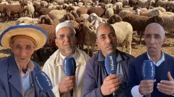 الرجاء في الله.. مواطنون يعبرون عن غضبهم بعد سيطرة "الشناقة" على أسواق الأضاحي: مبقيناش غادي نعيدو