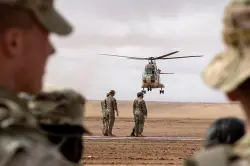 بحضور المغرب وإسرائيل.. الجيش الجزائري يشارك في مناورات الأسد الإفريقي!