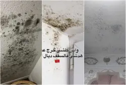 هكذا يمكن لأي مغربي اشترى منزله عبر قرض بنكي أن يستفيد من تعويض عن أضرار "الغمال"