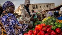 ضغط التجار يجبر الحكومة الموريتانية على التراجع عن قرار حظر الخضر المغربية