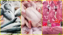 هل يحترم المنطق.. نظرية "تأثير الفراشة" تتوقع تراجعا وشيكا في أسعار اللحوم الحمراء والبيضاء والأسماك