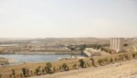 "داعش"  تعدم  12 طالبًا جامعياً بالموصل شمالي العراق والسبب !!