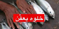 "خليها تخناز" ... شعار  الفايسبوكيين المطالبين بمقاطعة الأسماك بسبب الارتفاع الصاروخي لأسعارها