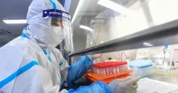 مختبر ووهان يكشف عن فيروس كورونا جديد قد يكون أكثر خطورة!