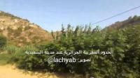 حدود المغرب مع الجزائر عند مدخل مدينة السعيدية