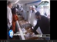 تناقص مستوى مخزون السردين بالمغرب