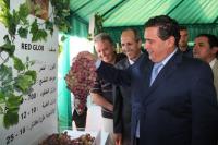 أخنوش يرد رسميا على خبر وجود اختلالات كبرى بمخطط المغرب الأخضر