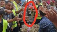 احتجاجا على نعتهم بـ"الحمير".. عمال بلدية تونسية يكرّمون حمارا