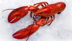 عصابة تنتحل هوية شركة شحن وتستولي على نصف مليون دولار من الكركند الفاخر