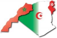 تقوية المغرب العربي الكبير خيار ما بعد الرفض الخليجي  