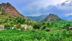 يمني يقتل أبناءه الثلاثة بالرصاص بعد عودته من الغربة