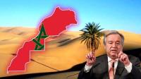 "غوتيريش" يفضح "البوليساريو" و ينتقد انتهاكاتها وعرقلتها لعمل المينورسو