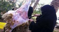 عقوبة صارمة ضد مهاجرة مغربية بإيطاليا ذبحت خروفين سرا في منزلها بمناسبة عيد الأضحى