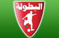 ترتيب البطولة الاحترافية (الدورة التاسعة