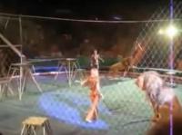 هجوم 6 أسود على مدربهم وسط صراخ الجمهور