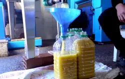 ما فهمنا والو..  أسعار زيت الزيتون في المغرب لازالت مرتفعة رغم الاستيراد الواسع