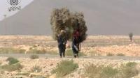 المرأة المغربية في البوادي و صعوبة ظروف المعيشة