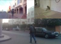 على بعد أسابيع قليلة على انطلاق بطولة كأس العالم للأندية:ساكنة حي مجاور لملعب اكادير تحذر من انتشارظاهرة المختلين عقليا‏