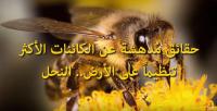 حقائق مُدهشة عن الكائنات الأكثر تنظيماً